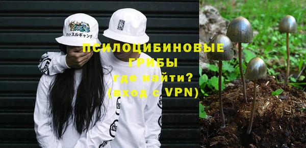 хмурый Верхний Тагил