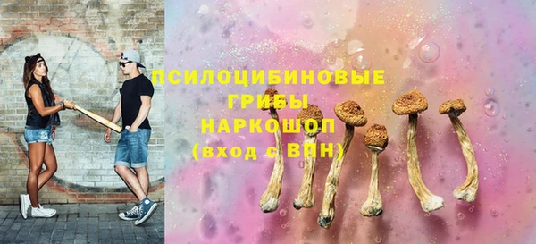 эйфоретик Верея