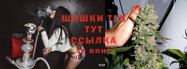 эйфоретик Верея